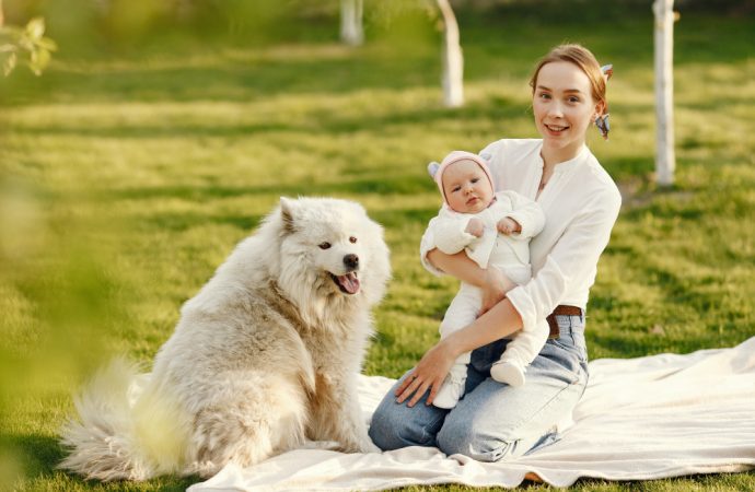 Jak przygotować psa na pojawienie się dziecka w domu?