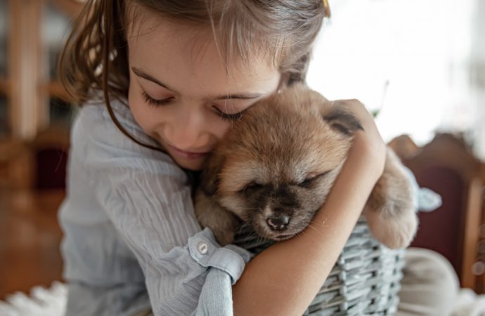 Mamo chcemy mieć psa! Pies do domu – rasy najlepsze dla dzieci