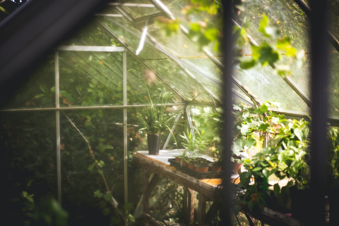 Folia ogrodnicza – Twój niezbędny sprzymierzeniec w pielęgnacji ogrodu
